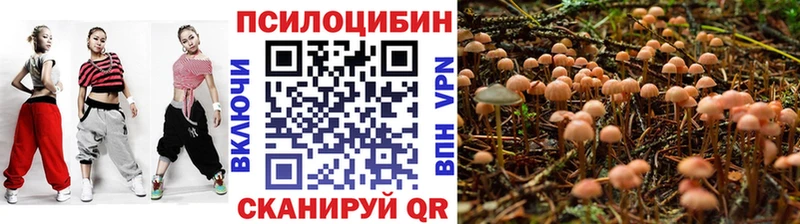 купить наркотики сайты  Невинномысск  Галлюциногенные грибы Psilocybe 